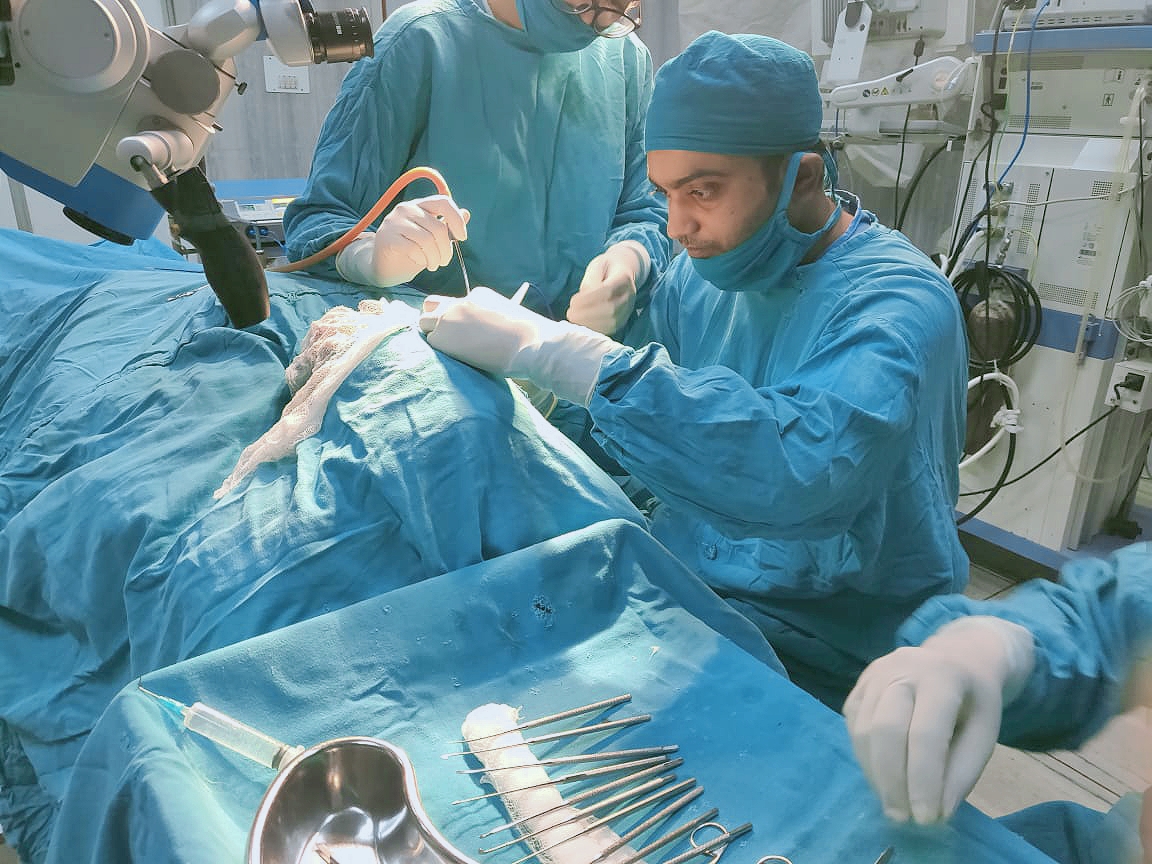 ent surgeon dr sunil kumar singh